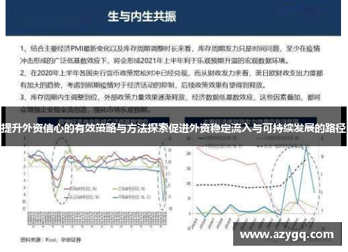 提升外资信心的有效策略与方法探索促进外资稳定流入与可持续发展的路径