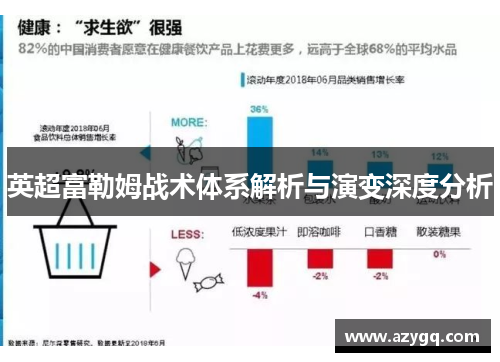 英超富勒姆战术体系解析与演变深度分析