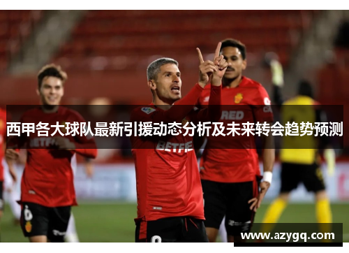 西甲各大球队最新引援动态分析及未来转会趋势预测