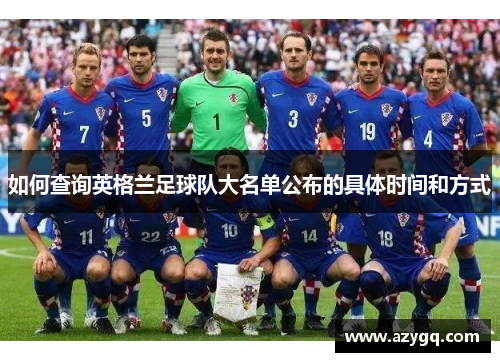 如何查询英格兰足球队大名单公布的具体时间和方式